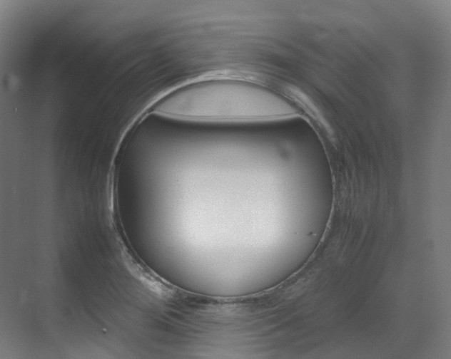 X0000075361276200609080829