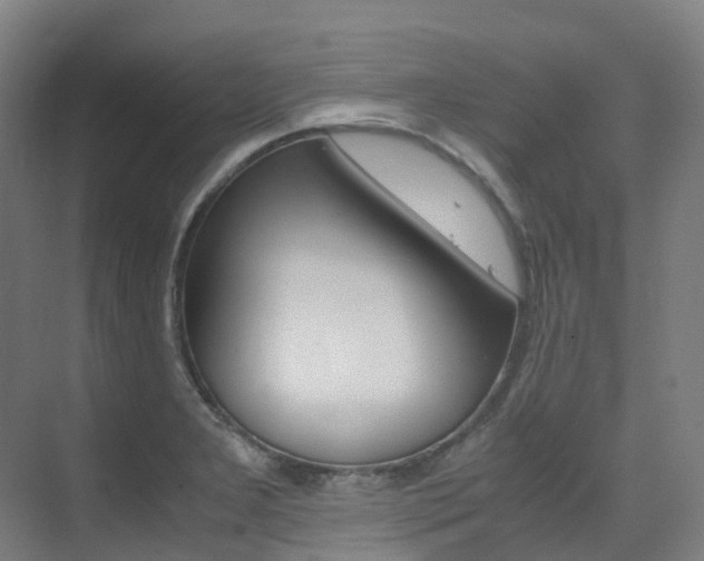X0000075361277200609080829