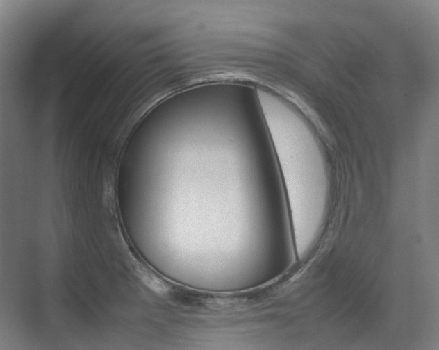 X0000075361281200609080829