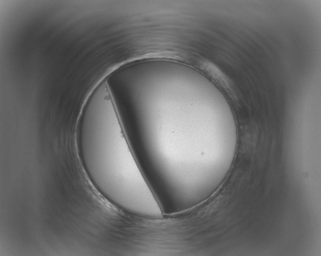 X0000075361284200609080829