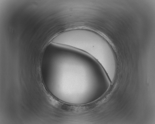 X0000075361289200609080829