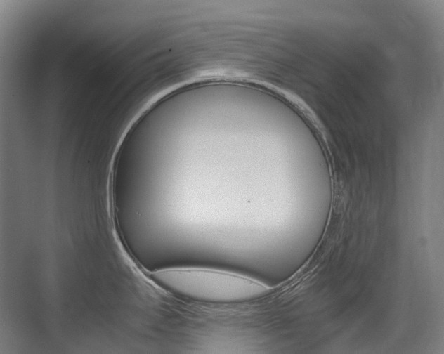 X0000075361295200609080829