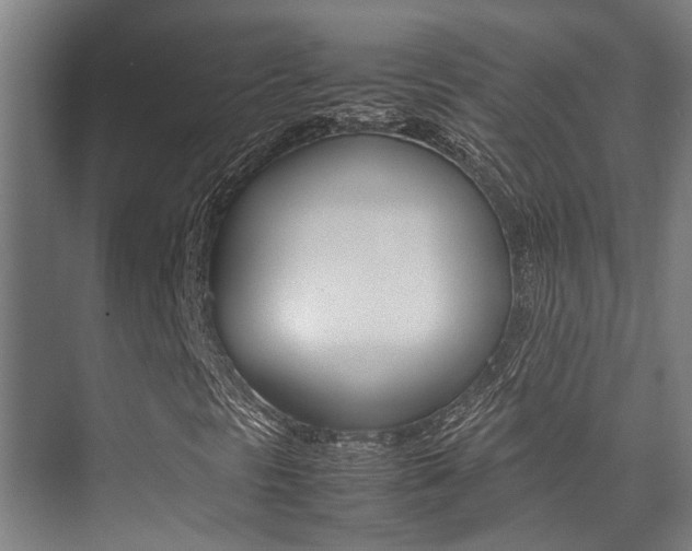 X0000075361297200609080828