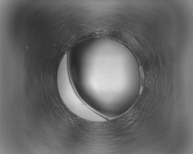 X0000075361298200609080828