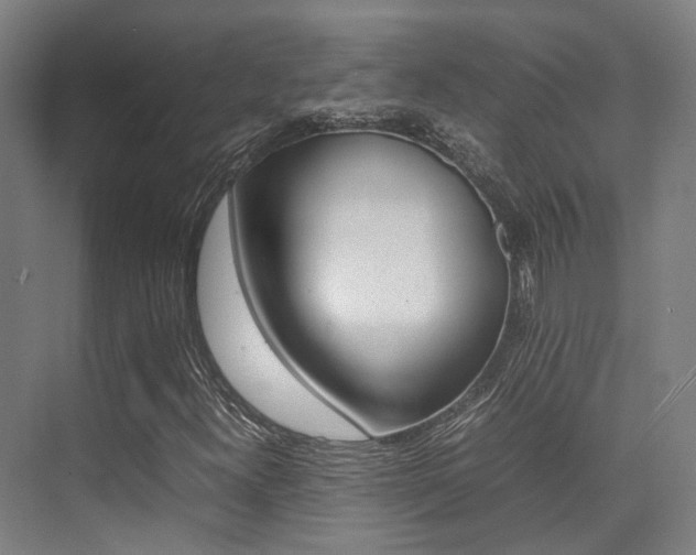 X0000075361300200609080828
