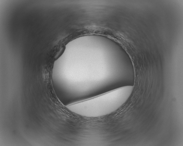 X0000075361302200609080828