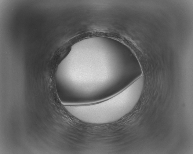 X0000075361303200609080828