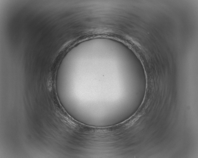 X0000075361306200609080828