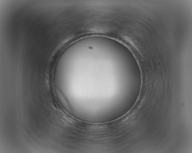 X0000075361307200609080828