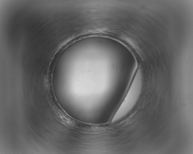 X0000075361308200609080828