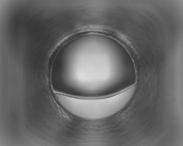X0000075361312200609080828