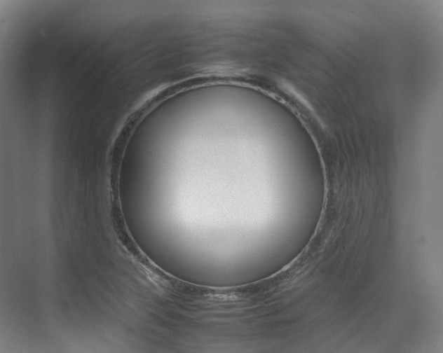 X0000075361315200609080828