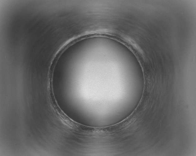 X0000075361316200609080828