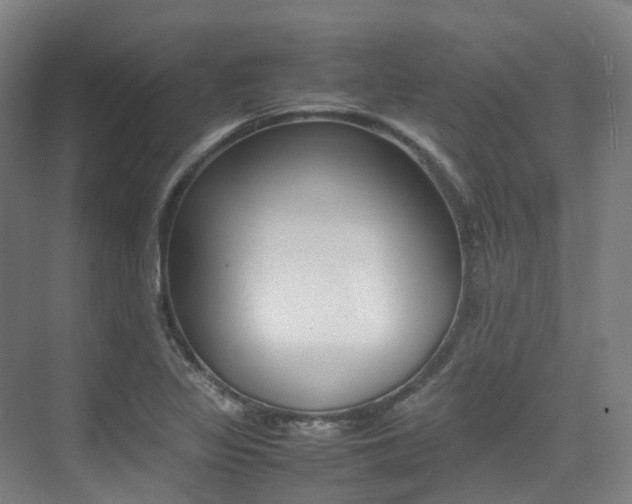 X0000075361317200609080828