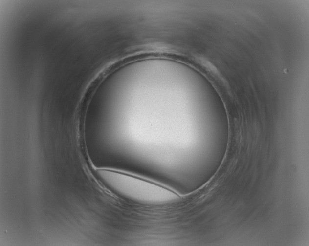 X0000075361318200609080828