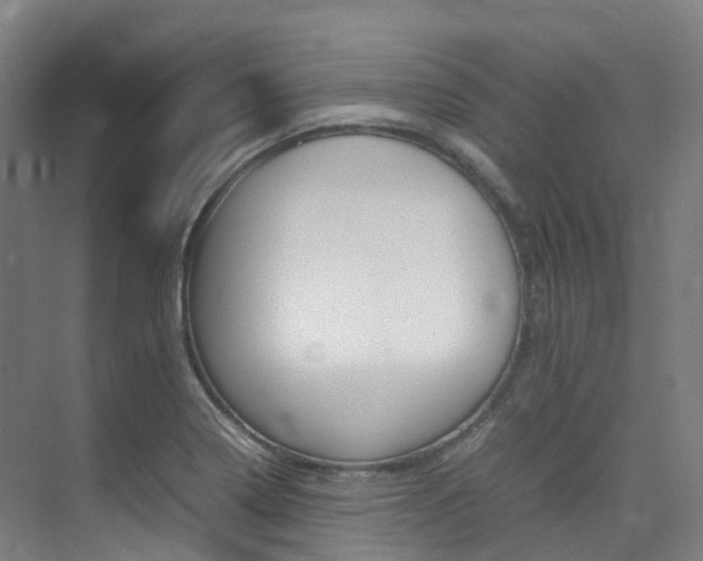 X0000075361322200609080828