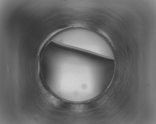 X0000075361323200609080828