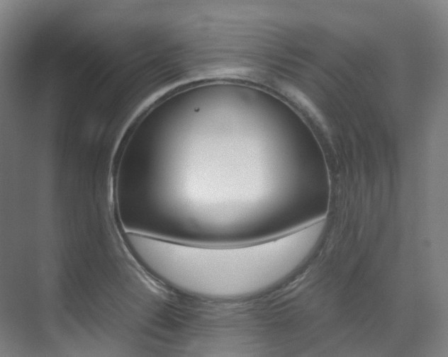 X0000075361324200609080828