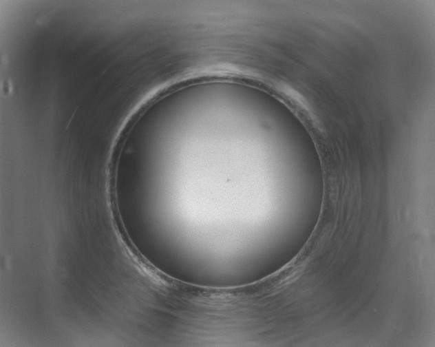 X0000075361326200609080828