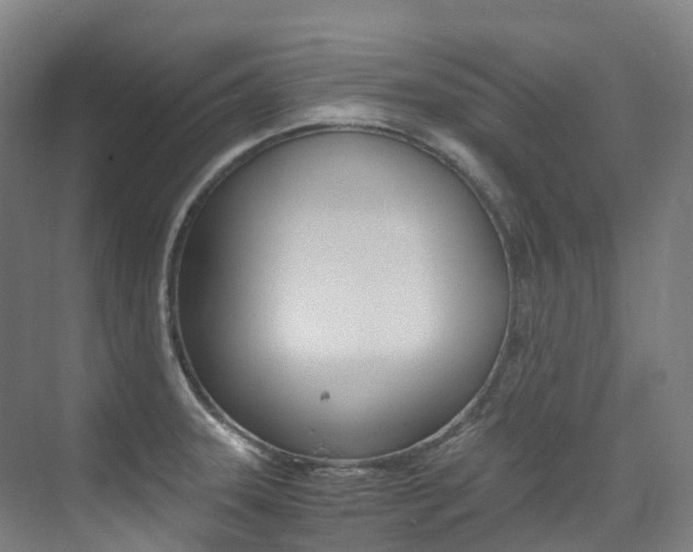 X0000075361331200609080828