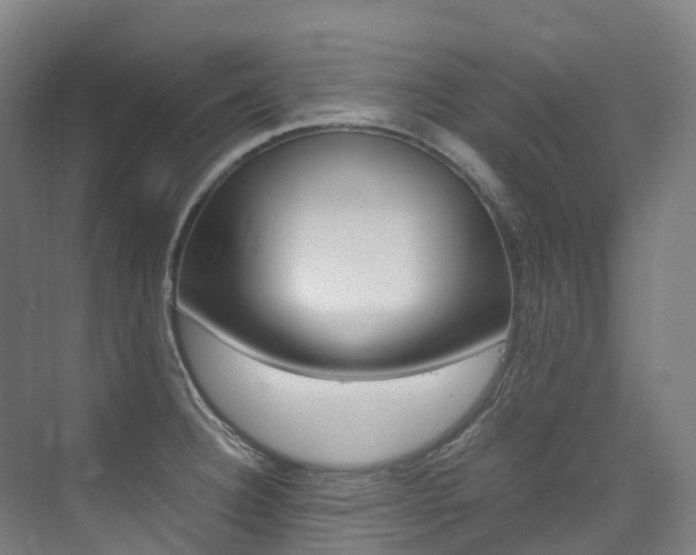 X0000075361332200609080828