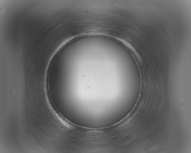 X0000075361333200609080828