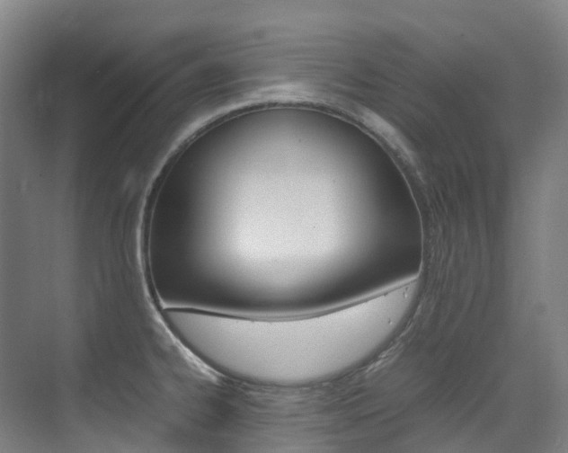 X0000075361334200609080828