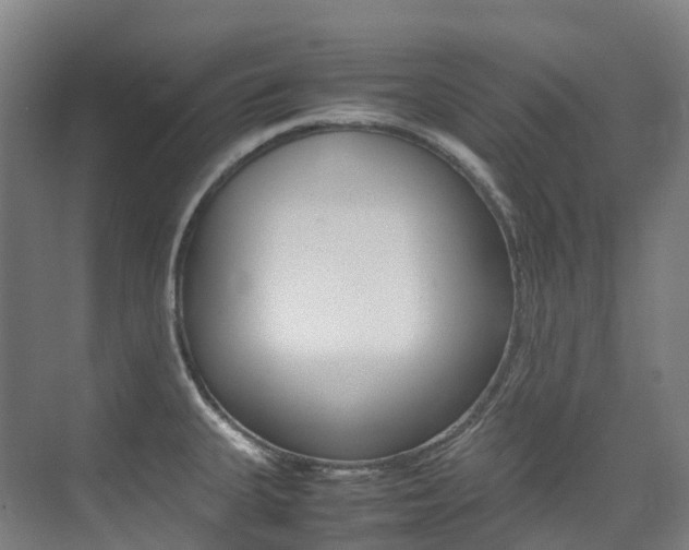 X0000075361335200609080828