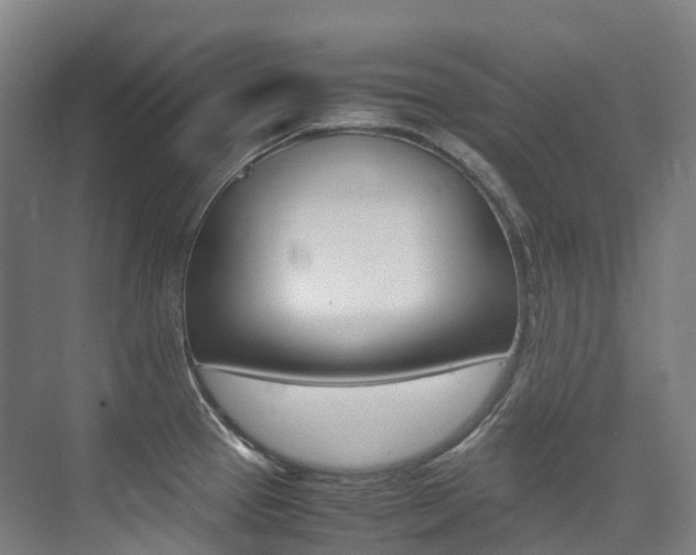 X0000075361337200609080829
