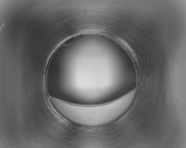 X0000075361340200609080829