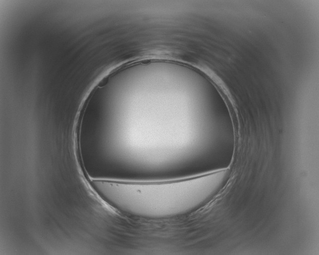 X0000075361341200609080829