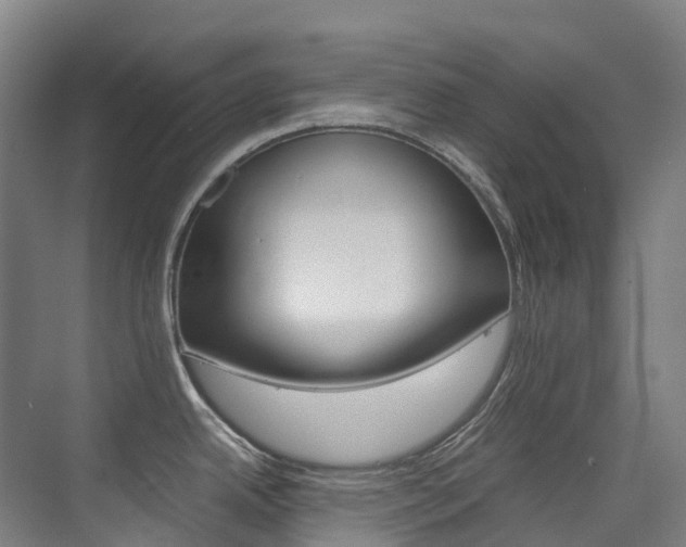 X0000075361342200609080829