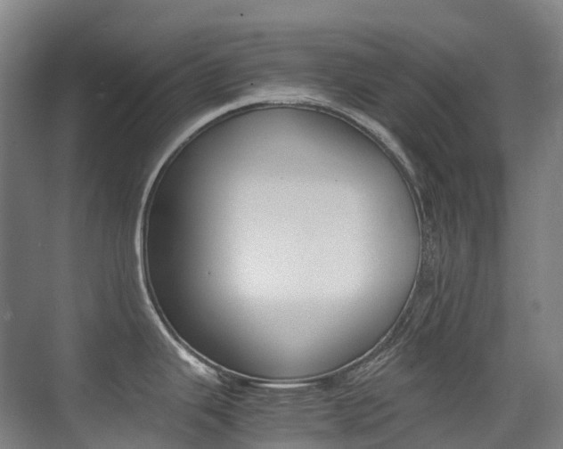 X0000075361343200609080829