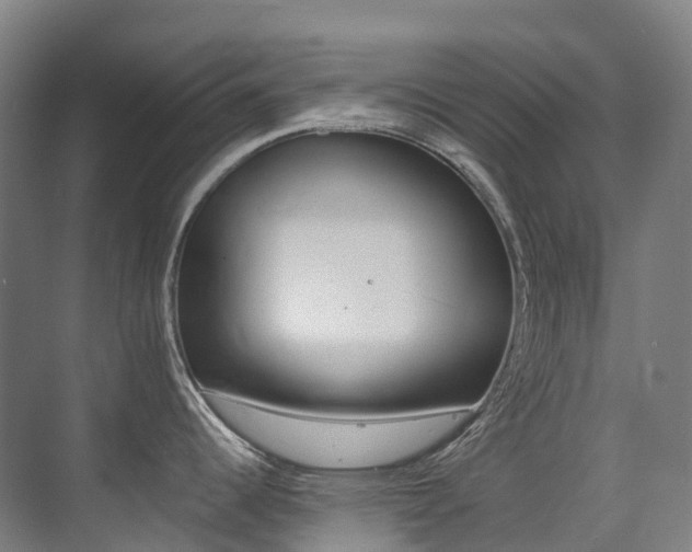 X0000075361344200609080829