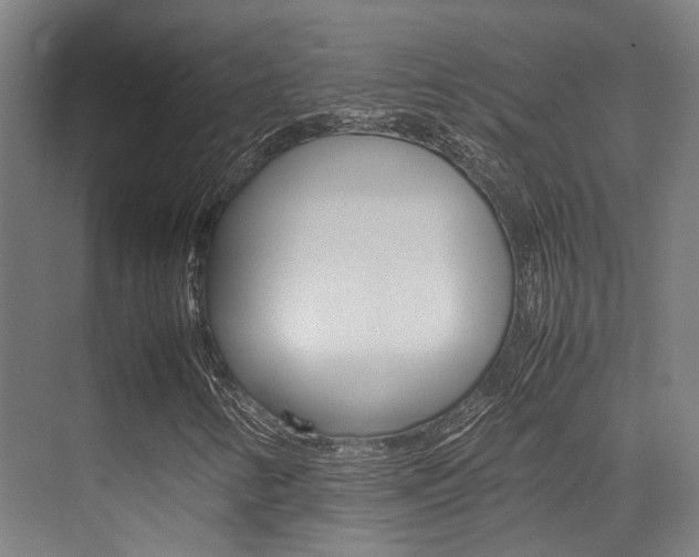 X0000075361346200609080828