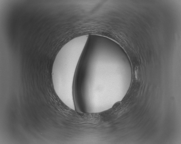 X0000075361347200609080828