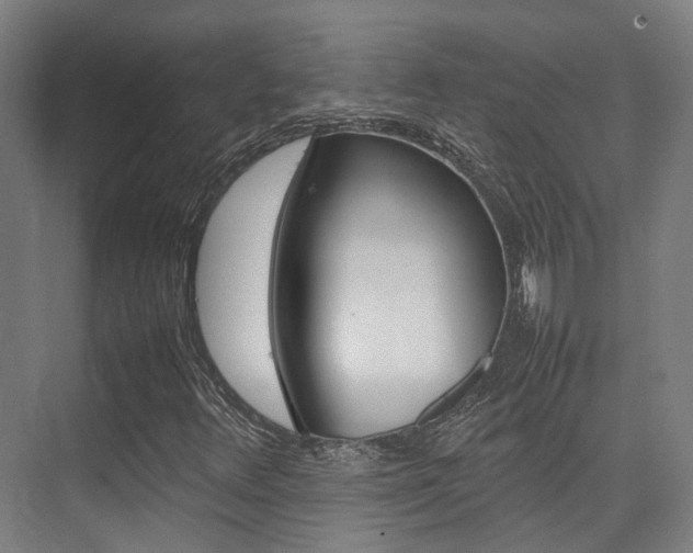 X0000075361348200609080828