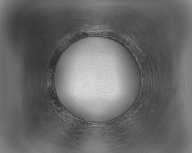 X0000075361350200609080828