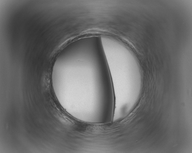 X0000075361355200609080828