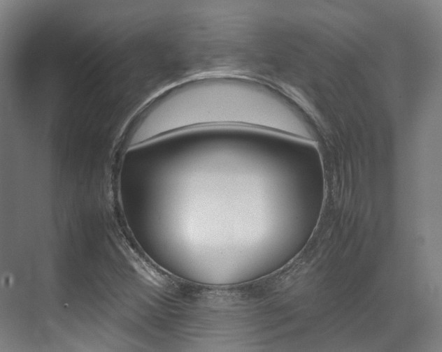 X0000075361356200609080828