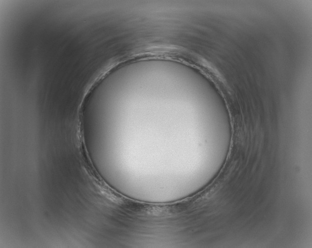 X0000075361362200609080828