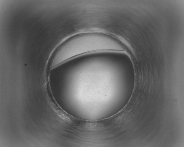 X0000075361364200609080828