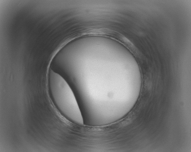 X0000075361370200609080827