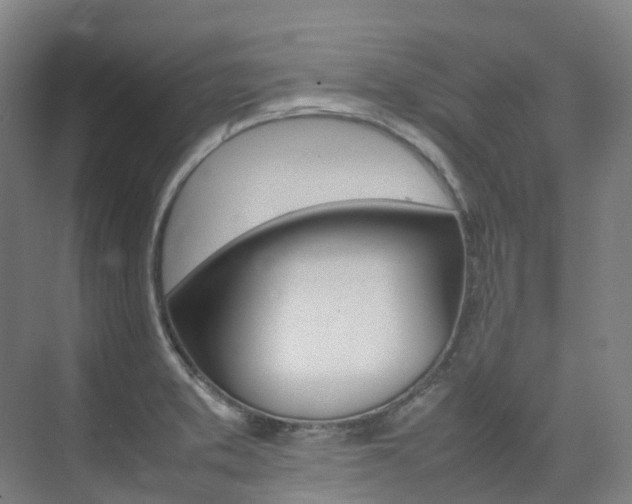 X0000075361373200609080827