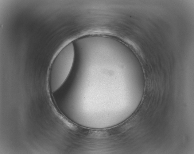 X0000075361374200609080827
