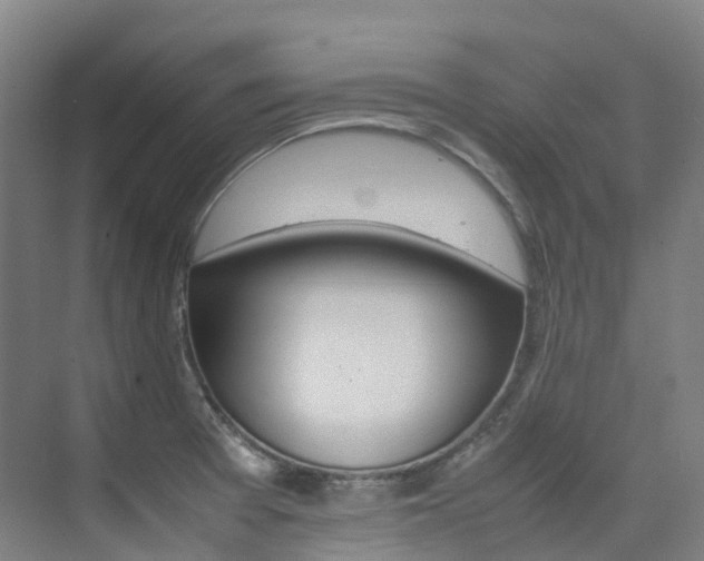 X0000075361377200609080827