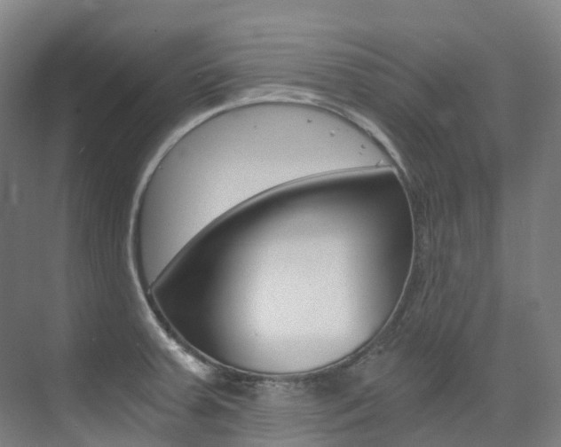 X0000075361379200609080827