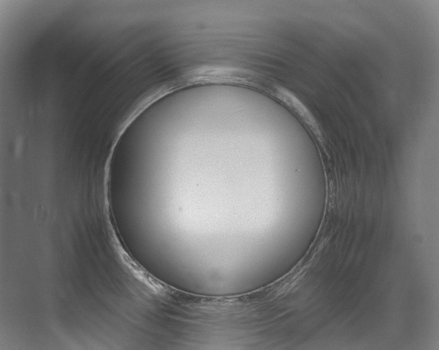 X0000075361386200609080827
