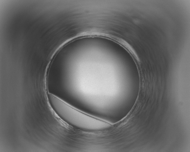 X0000075361388200609080827