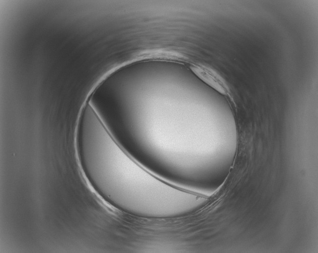 X0000075361391200609080827